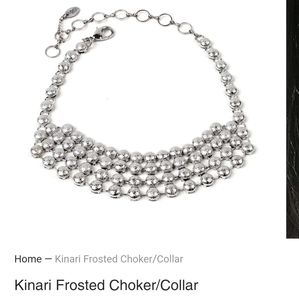 Amrita Singh Kinari Frosted Choker/ Collar Necklace in Silver-Tone